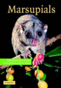 Marsupials (eBook, PDF) Cover Marsupials (eBook, PDF)