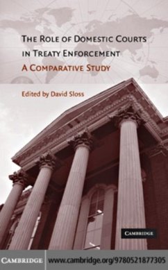 Cover Role of Domestic Courts in Treaty Enforcement (eBook, PDF)