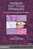 Modern Soft Tissue Pathology (eBook, PDF)