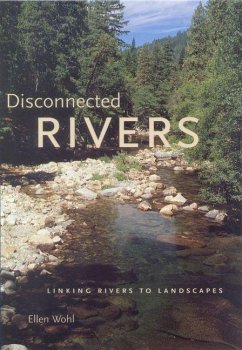 Disconnected Rivers (eBook, PDF) - Wohl, Ellen