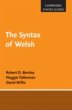 Syntax of Welsh (eBook, PDF) - Bild 1