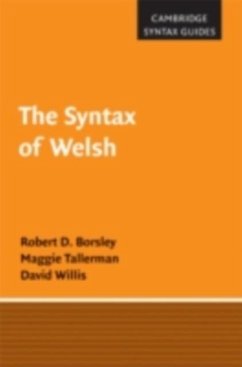 Syntax of Welsh (eBook, PDF) - Borsley, Robert D.