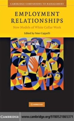 Cover Employment Relationships (eBook, PDF)