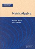 Matrix Algebra (eBook, PDF)