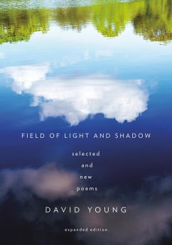 Field of Light and Shadow (eBook, ePUB) - Young, David