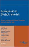 Developments in Strategic Materials, Volume 29, Issue 10 (eBook, PDF)
