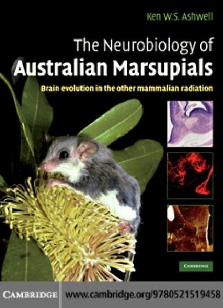 Neurobiology of Australian Marsupials (eBook, PDF) Neurobiology of Australian Marsupials (eBook, PDF)