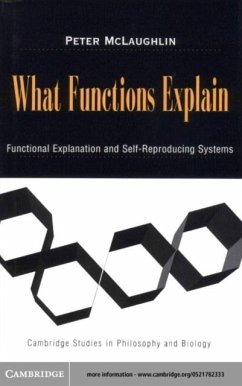 What Functions Explain (eBook, PDF) - Mclaughlin, Peter