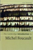 Cambridge Introduction to Michel Foucault (eBook, PDF)