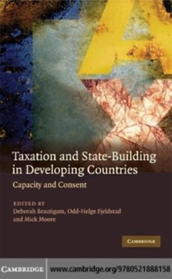 Cover Taxation and State-Building in Developing Countries (eBook, PDF)