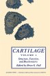 Cartilage V1 (eBook, PDF) - Bild 1