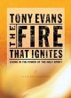The Fire That Ignites (eBook, ePUB) - Bild 1