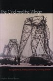 The Grid and the Village (eBook, PDF)
