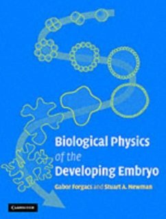 Biological Physics of the Developing Embryo (eBook, PDF) - Forgacs, Gabor