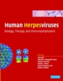 Human Herpesviruses (eBook, PDF)