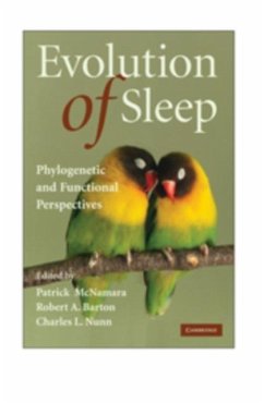 Evolution of Sleep (eBook, PDF)