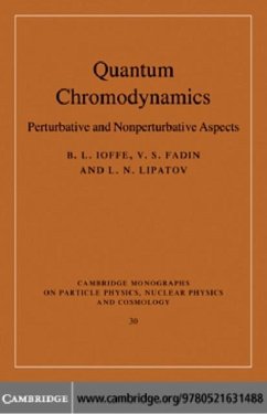 Quantum Chromodynamics (eBook, PDF) - Ioffe, B. L.