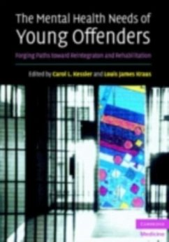Cover Mental Health Needs of Young Offenders (eBook, PDF)