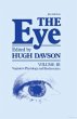 The Eye Pt IB (eBook, PDF) - Bild 1