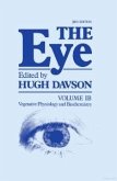 The Eye Pt IB (eBook, PDF)