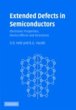 Extended Defects in Semiconductors... - Bild 1