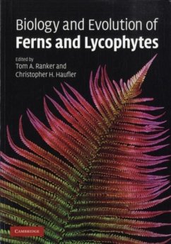 Cover Biology and Evolution of Ferns and Lycophytes (eBook, PDF)