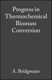 Progress in Thermochemical Biomass Conversion (eBook, PDF)