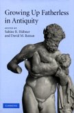 Growing Up Fatherless in Antiquity (eBook, PDF)