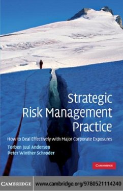Cover Strategic Risk Management Practice (eBook, PDF)