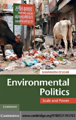 Environmental Politics (eBook, PDF) - O'Lear, Shannon