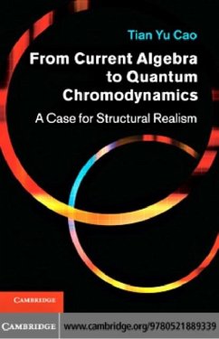 Cover From Current Algebra to Quantum Chromodynamics (eBook, PDF)