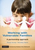 Working with Vulnerable Families (eBook, PDF)