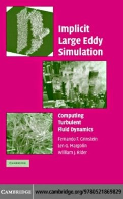 Cover Implicit Large Eddy Simulation (eBook, PDF)