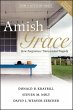 Amish Grace (eBook, ePUB) - Bild 1