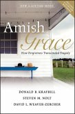 Amish Grace (eBook, ePUB)