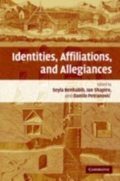 Identities, Affiliations, and Allegiances (eBook, PDF)