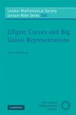 Elliptic Curves and Big Galois Representations (eBook, PDF)