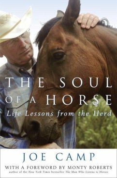 The Soul of a Horse (eBook, ePUB) - Camp, Joe