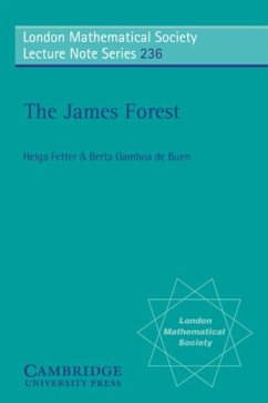 James Forest (eBook, PDF) - Fetter, Helga