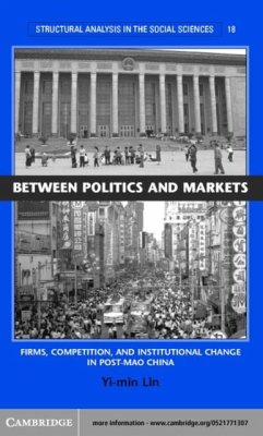 Between Politics and Markets (eBook, PDF) - Lin, Yi-Min