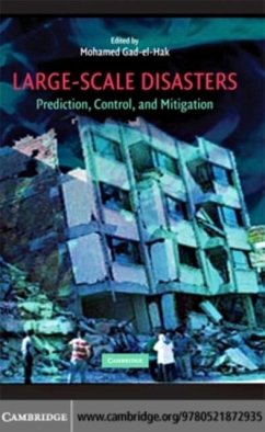 Large-Scale Disasters (eBook, PDF)