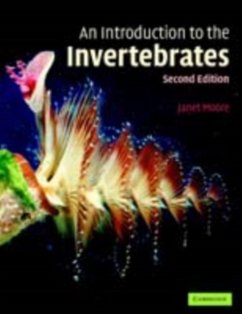 Introduction to the Invertebrates (eBook, PDF) - Moore, Janet