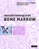 Illustrated Pathology of the Bone Marrow (eBook, PDF)