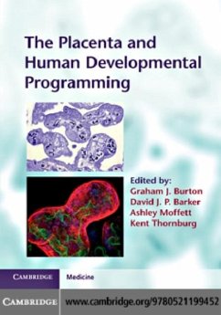 Placenta and Human Developmental Programming (eBook, PDF)