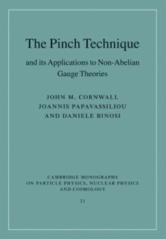 Pinch Technique and its Applications to Non-Abelian Gauge Theories (eBook, PDF) - Cornwall, John M.