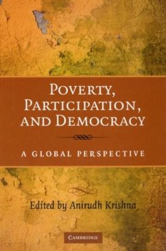 Poverty, Participation, and Democracy (eBook, PDF)