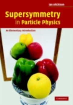 Cover Supersymmetry in Particle Physics (eBook, PDF)