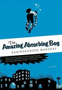 Cover The Amazing Absorbing Boy (eBook, ePUB)