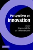 Perspectives on Innovation (eBook, PDF)