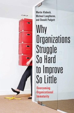 Cover Why Organizations Struggle So Hard to Improve So Little (eBook, PDF)